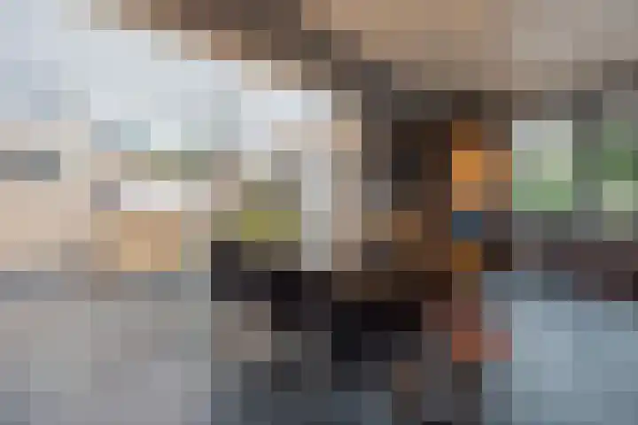 Gastendonkstraat 14 Horst thumbnail 22