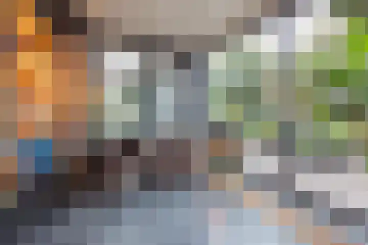 Gastendonkstraat 14 Horst thumbnail 23