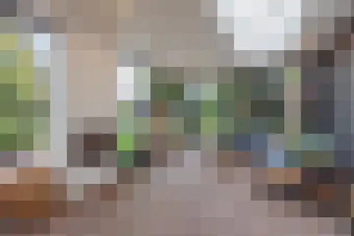 Gastendonkstraat 14 Horst thumbnail 29