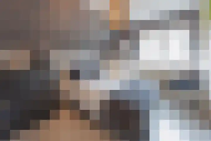 Gastendonkstraat 14 Horst thumbnail 33