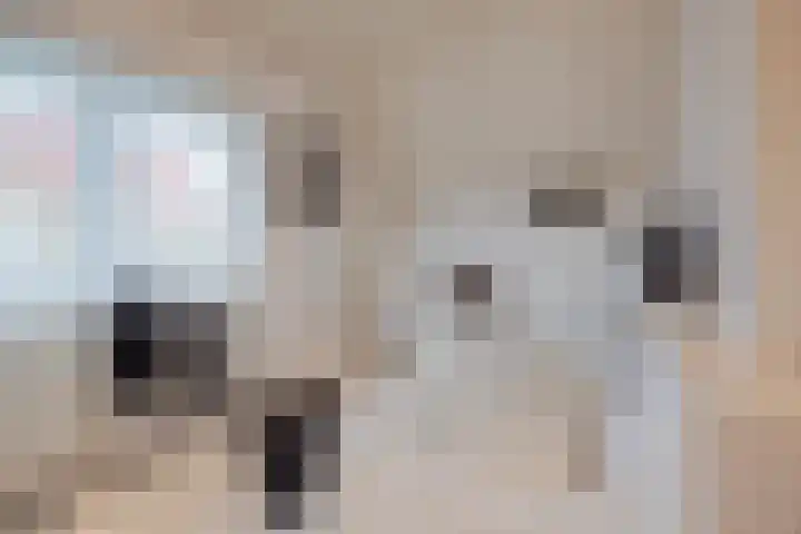 Gastendonkstraat 14 Horst thumbnail 37