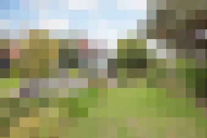 Gastendonkstraat 14 Horst thumbnail 4