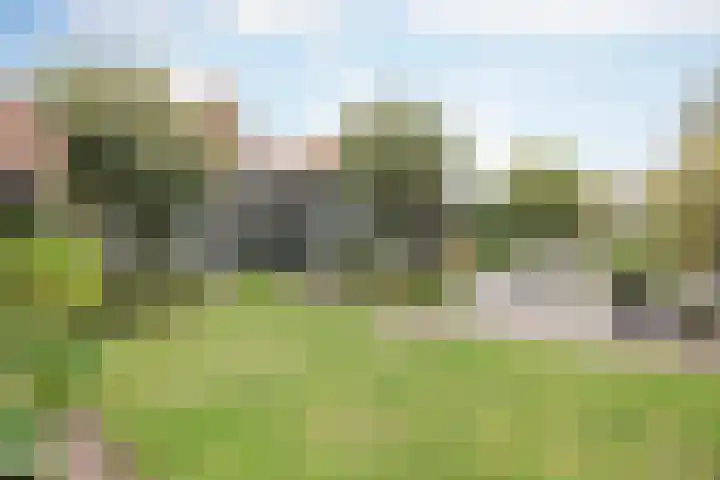 Gastendonkstraat 14 Horst thumbnail 42