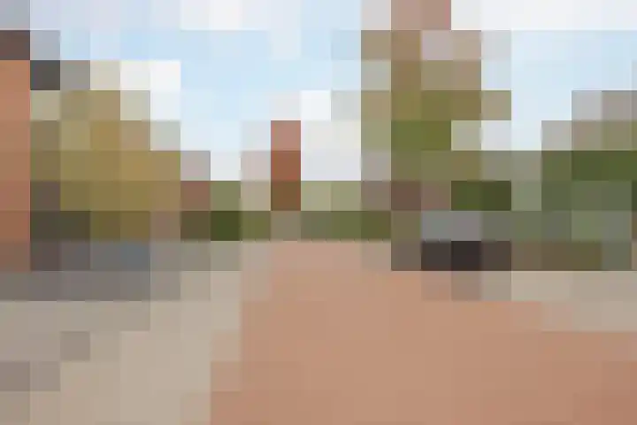 Gastendonkstraat 14 Horst thumbnail 58