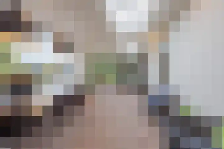 Gastendonkstraat 14 Horst thumbnail 6