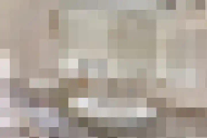 Gasthuis 22 Bemelen thumbnail 23