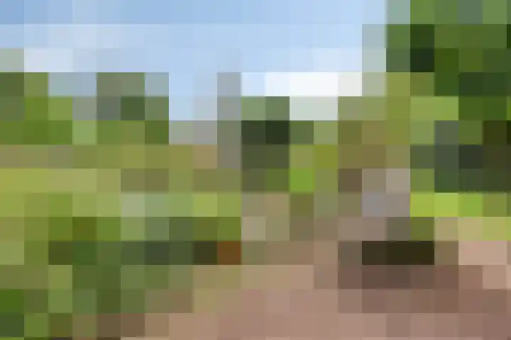 Gasthuis 22 Bemelen thumbnail 39