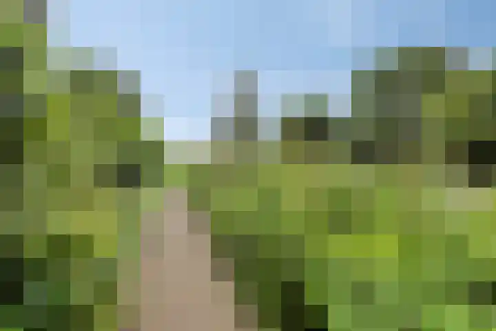 Gasthuis 22 Bemelen thumbnail 40