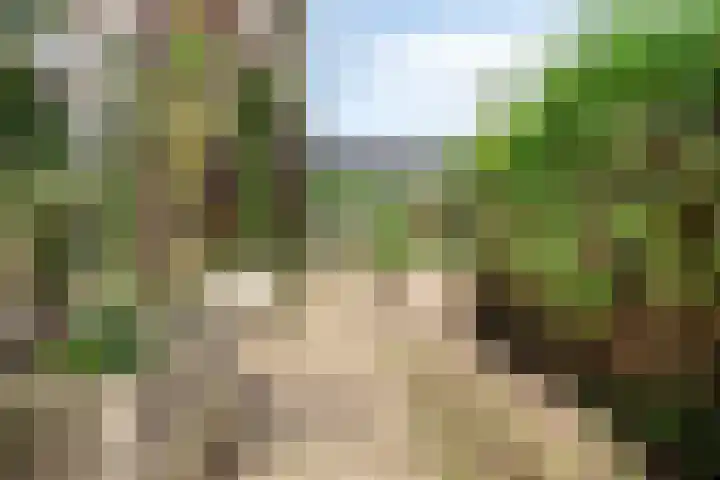 Gasthuis 22 Bemelen thumbnail 41