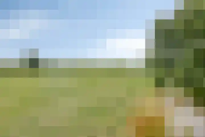Gasthuis 22 Bemelen thumbnail 47