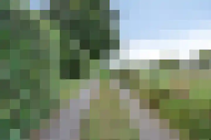 Gasthuis 22 Bemelen thumbnail 48