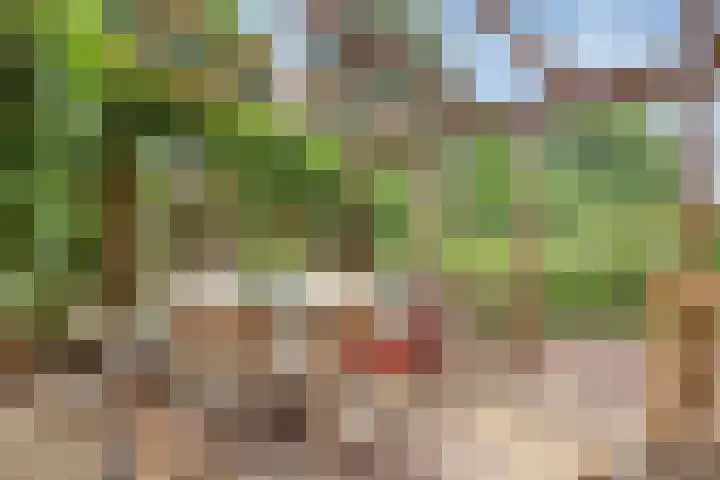 Gasthuis 22 Bemelen thumbnail 9