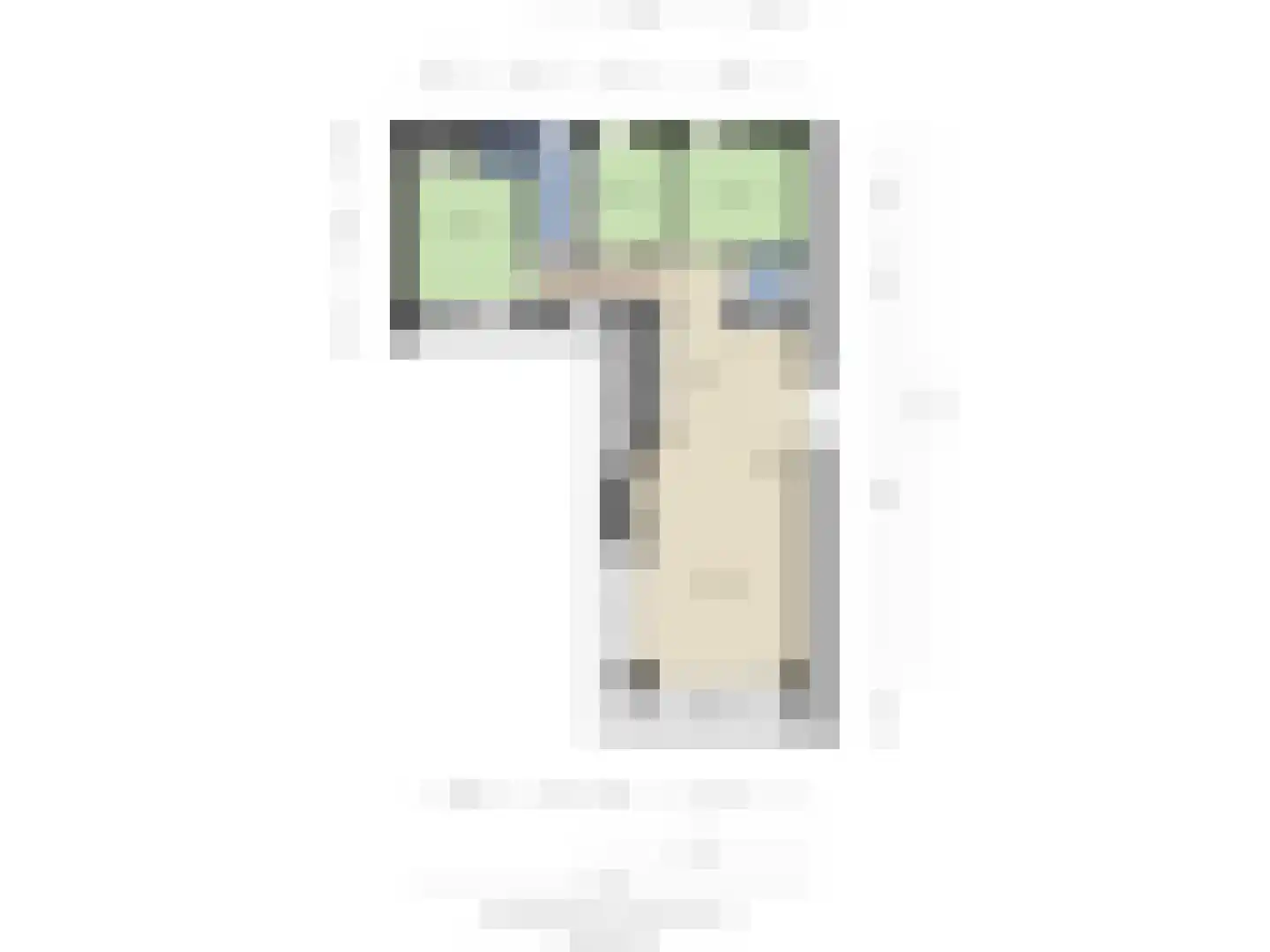 Gasthuis 3 100 Bemelen thumbnail 16
