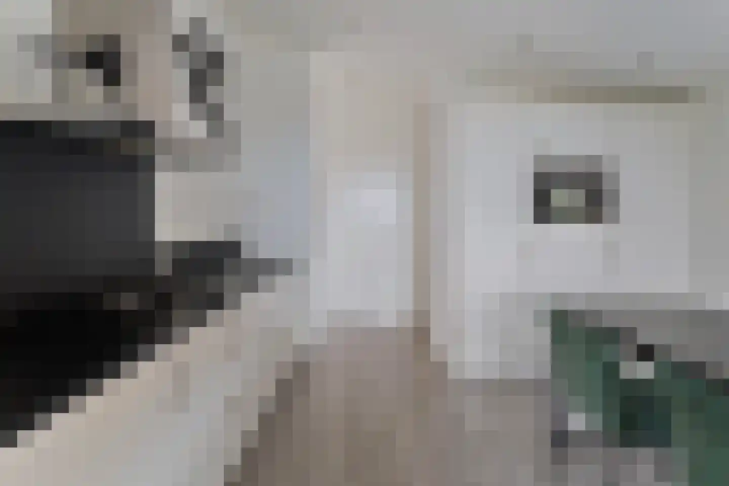 Gasthuis 3 100 Bemelen thumbnail 7