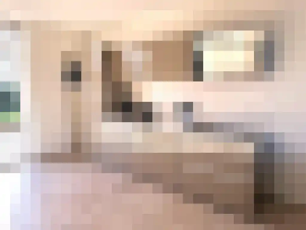 Gasthuis 3 16 Bemelen thumbnail 10