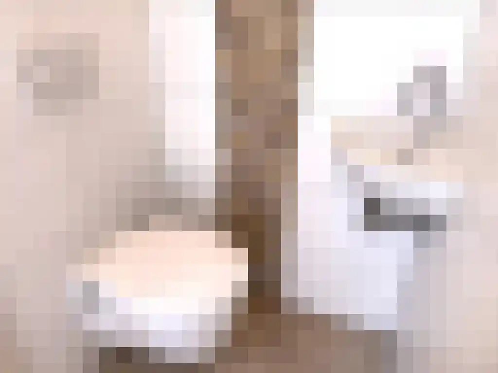 Gasthuis 3 16 Bemelen thumbnail 14