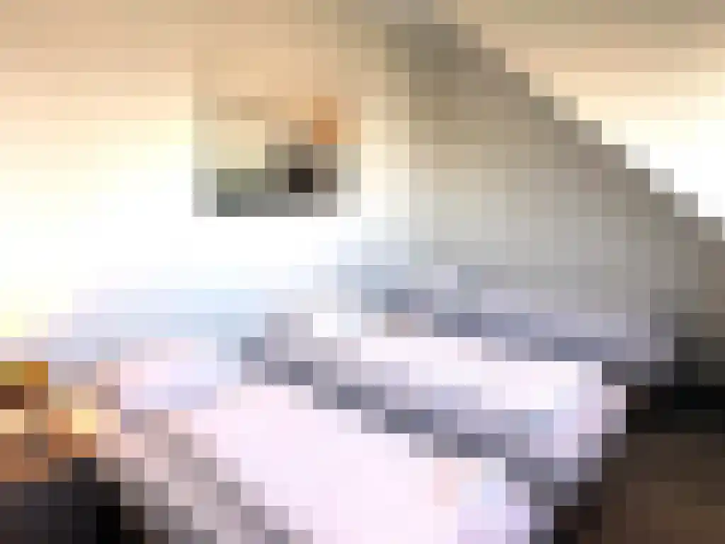 Gasthuis 3 16 Bemelen thumbnail 23