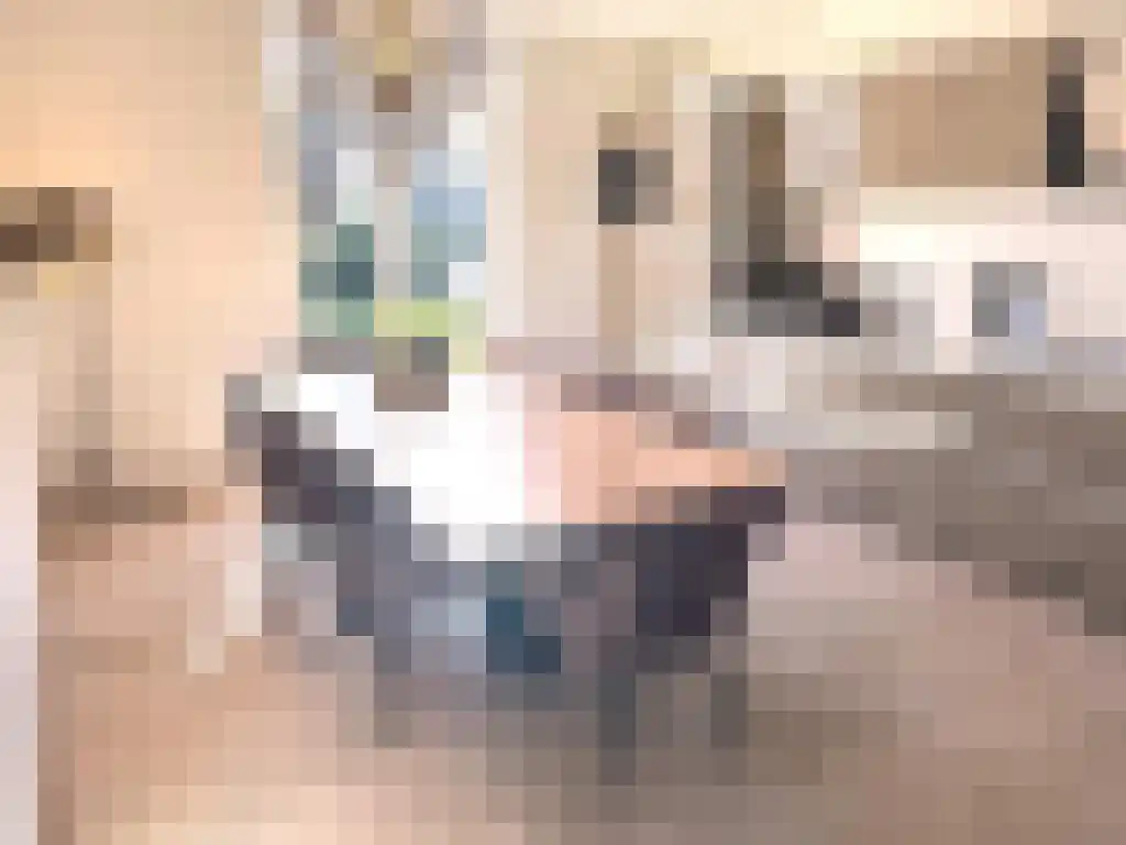Gasthuis 3 16 Bemelen thumbnail 9