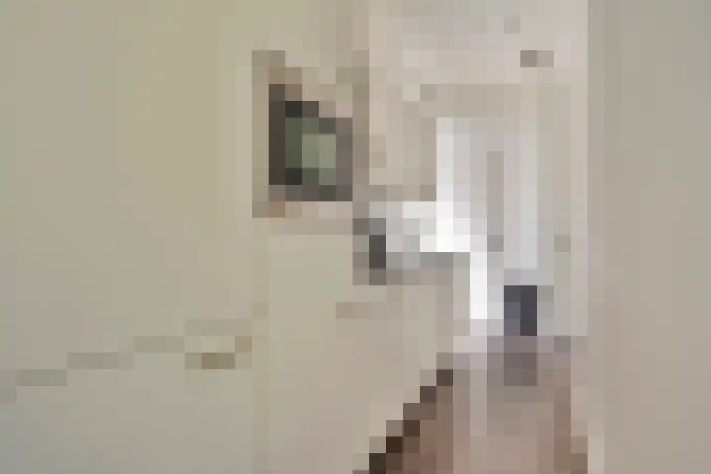 Gasthuis 3 21 Bemelen thumbnail 8