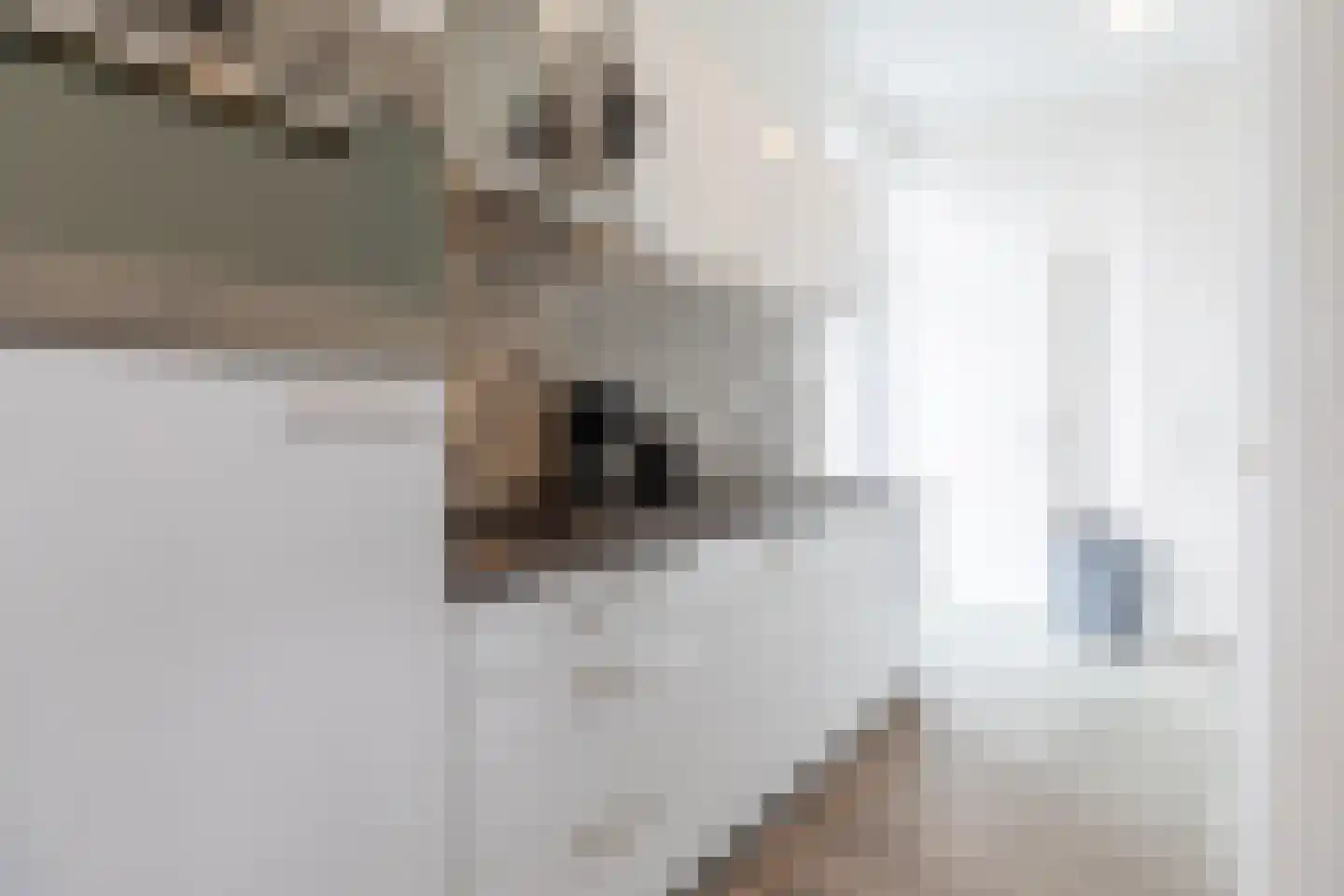 Gasthuis 3 42 Bemelen thumbnail 8