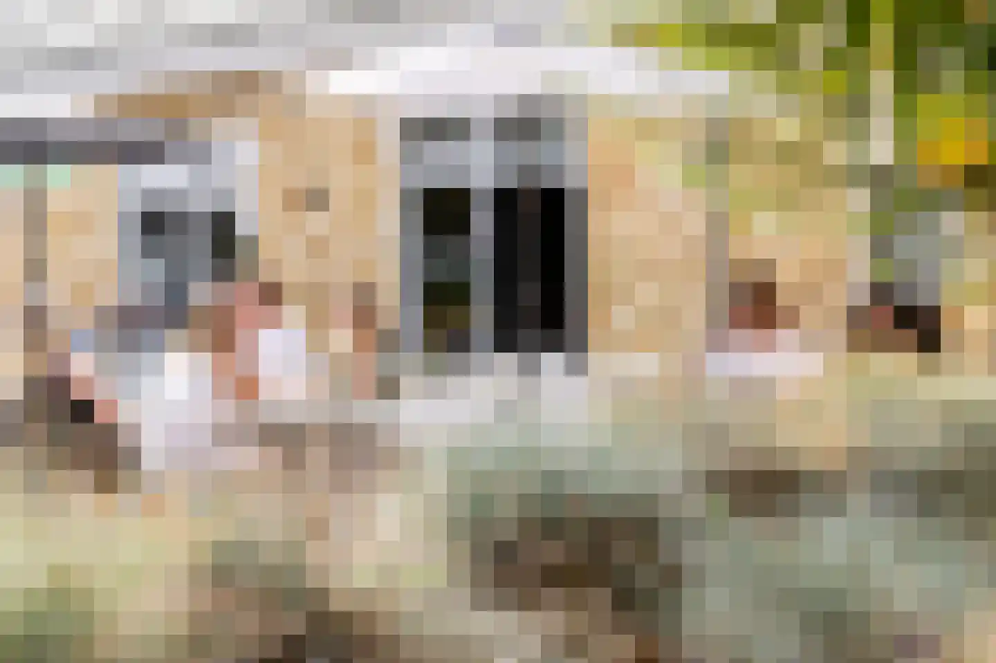 Gasthuis 3 48 Bemelen thumbnail 6