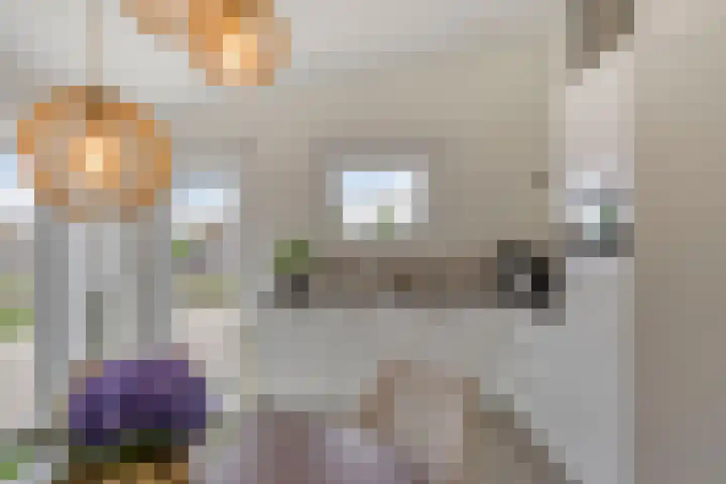 Gasthuis 3 52 Bemelen thumbnail 14