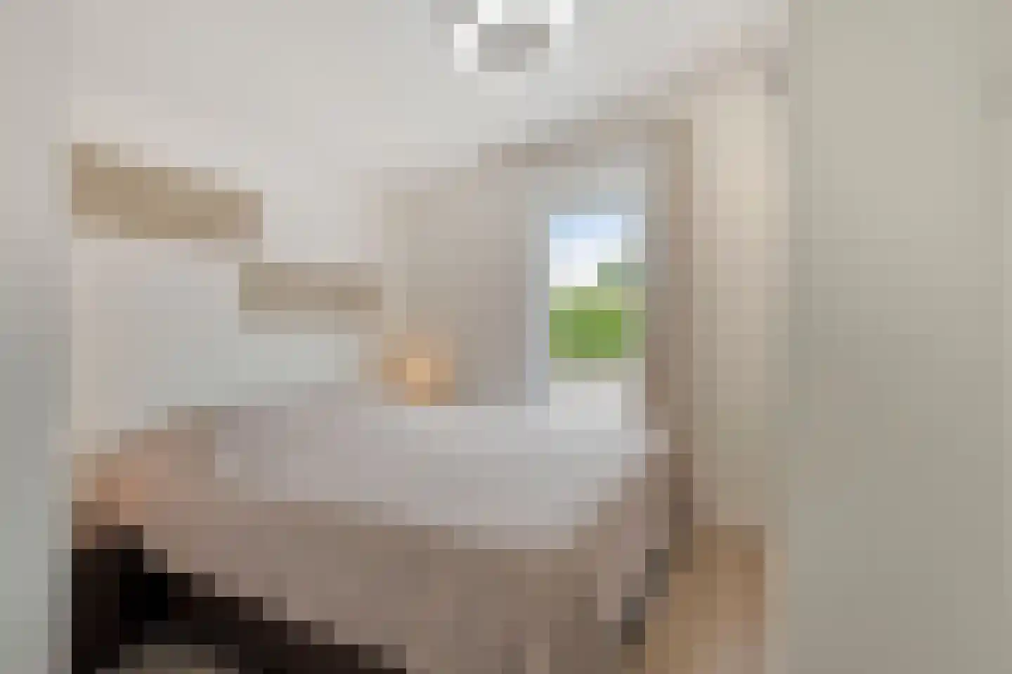 Gasthuis 3 52 Bemelen thumbnail 16