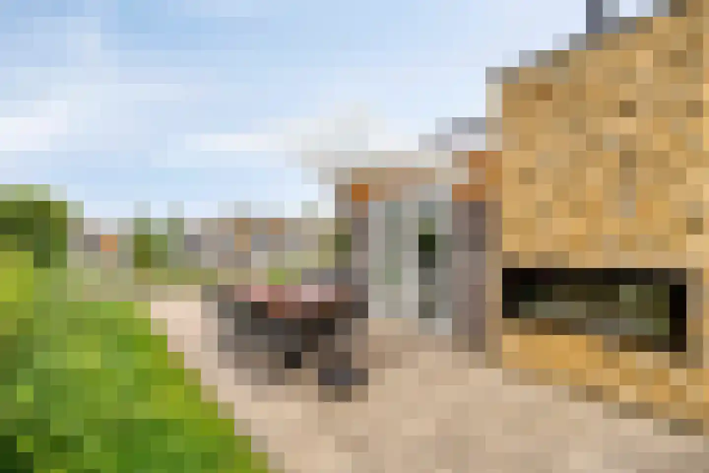 Gasthuis 3 52 Bemelen thumbnail 25