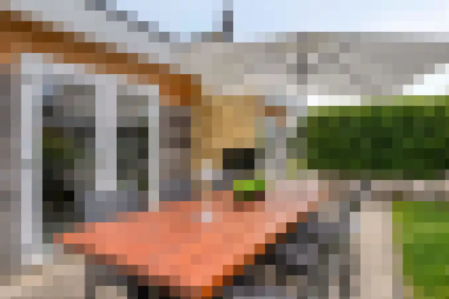 Gasthuis 3 52 Bemelen thumbnail 27