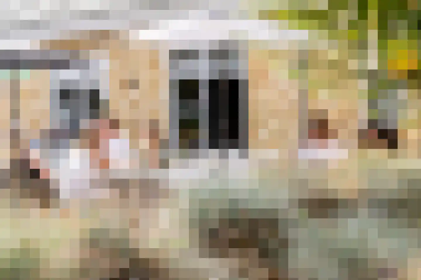 Gasthuis 3 73 Bemelen thumbnail 12