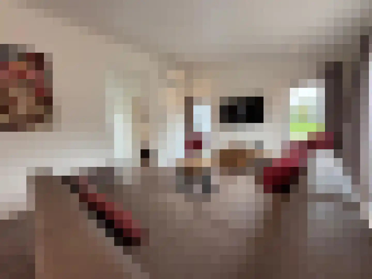 Gasthuis 3 74 Bemelen thumbnail 11