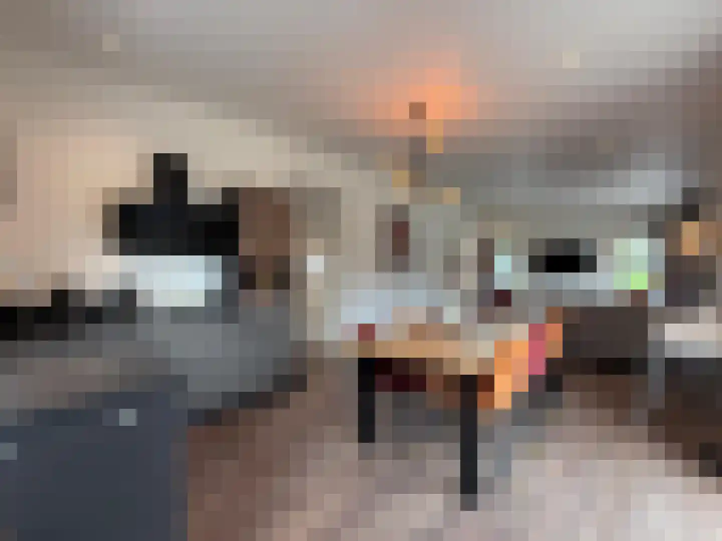 Gasthuis 3 74 Bemelen thumbnail 14