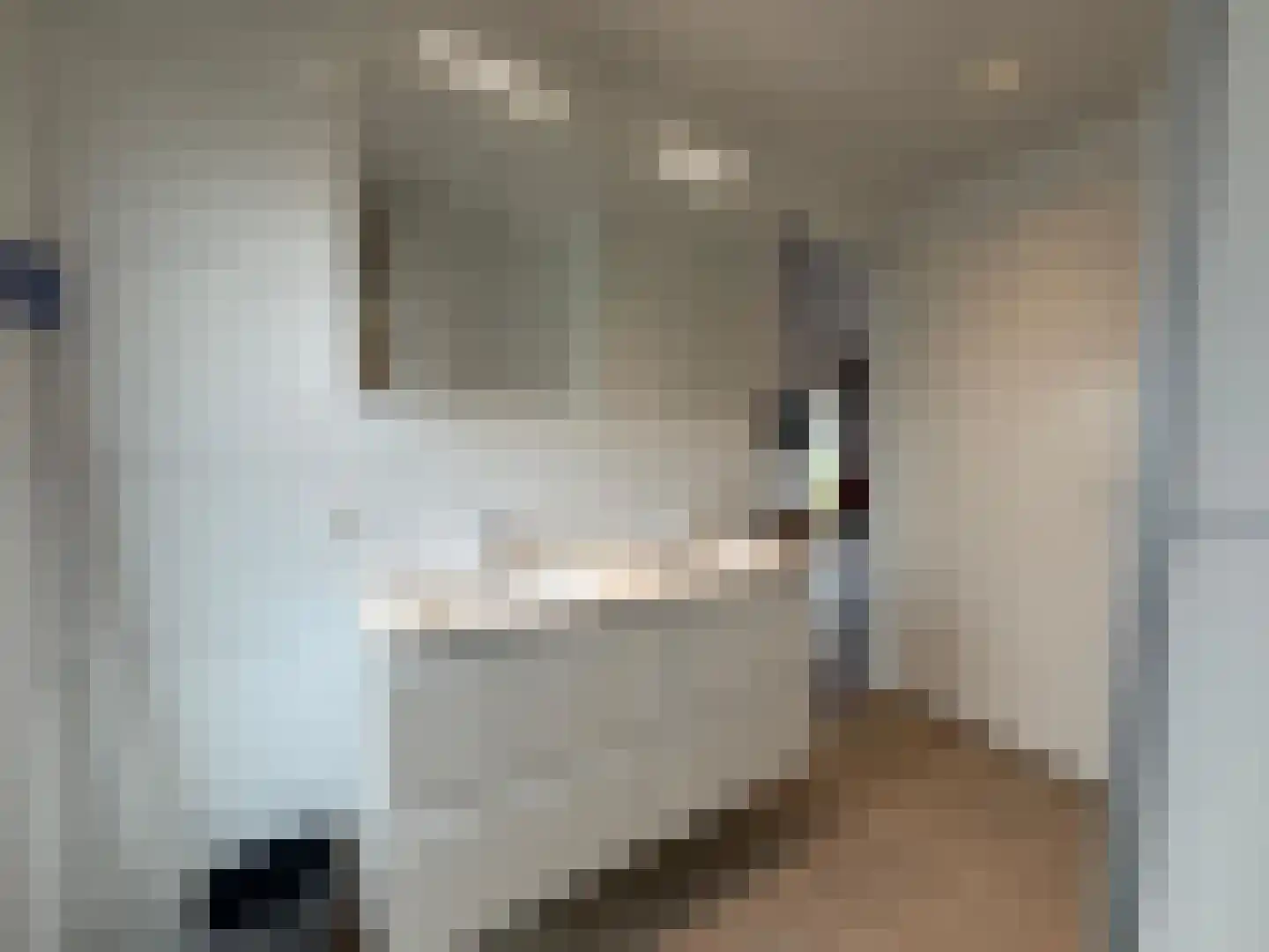 Gasthuis 3 74 Bemelen thumbnail 16