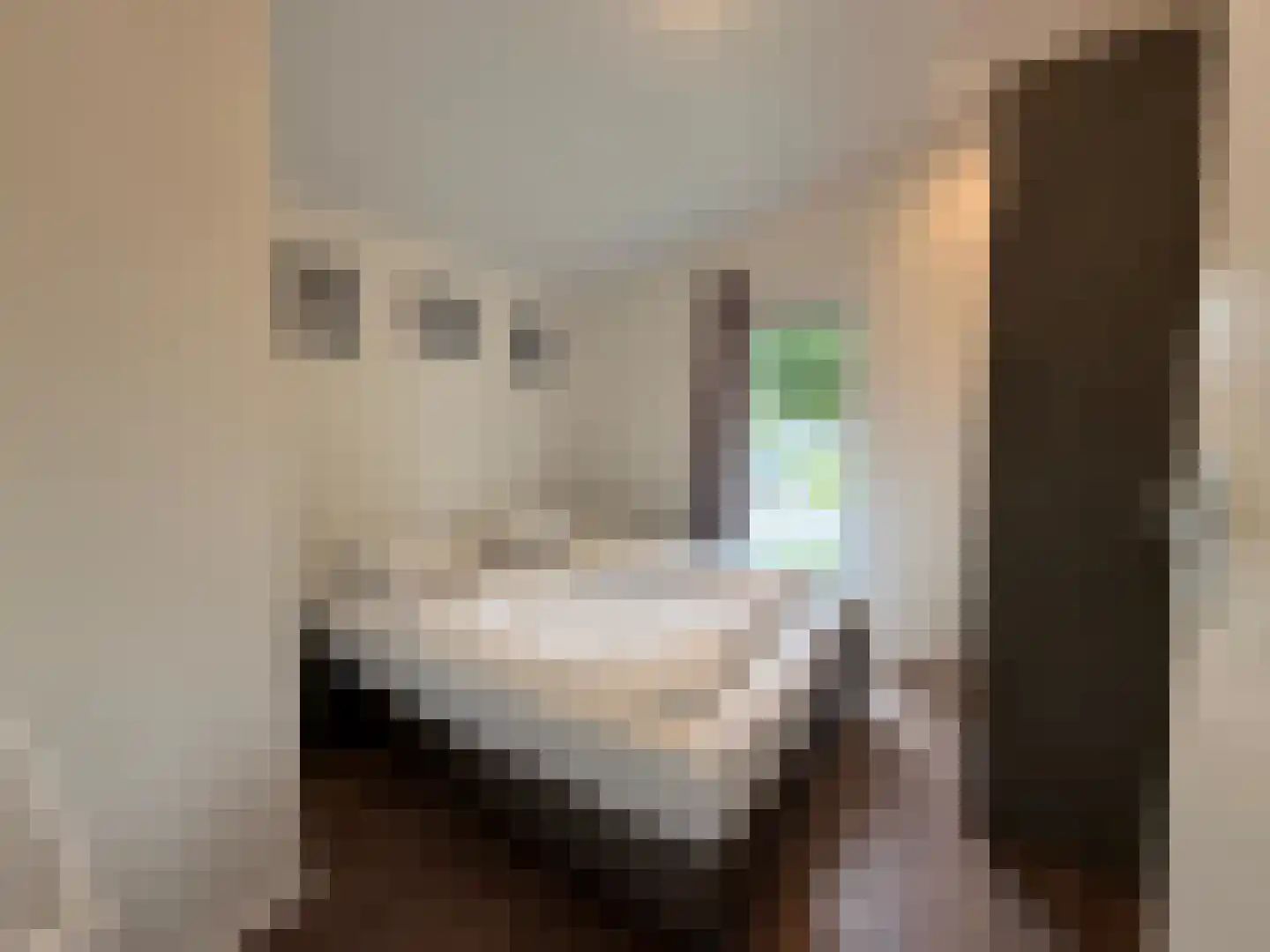 Gasthuis 3 74 Bemelen thumbnail 19