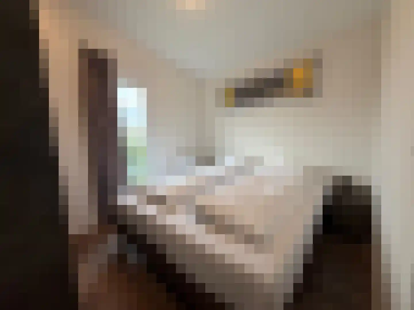 Gasthuis 3 74 Bemelen thumbnail 21