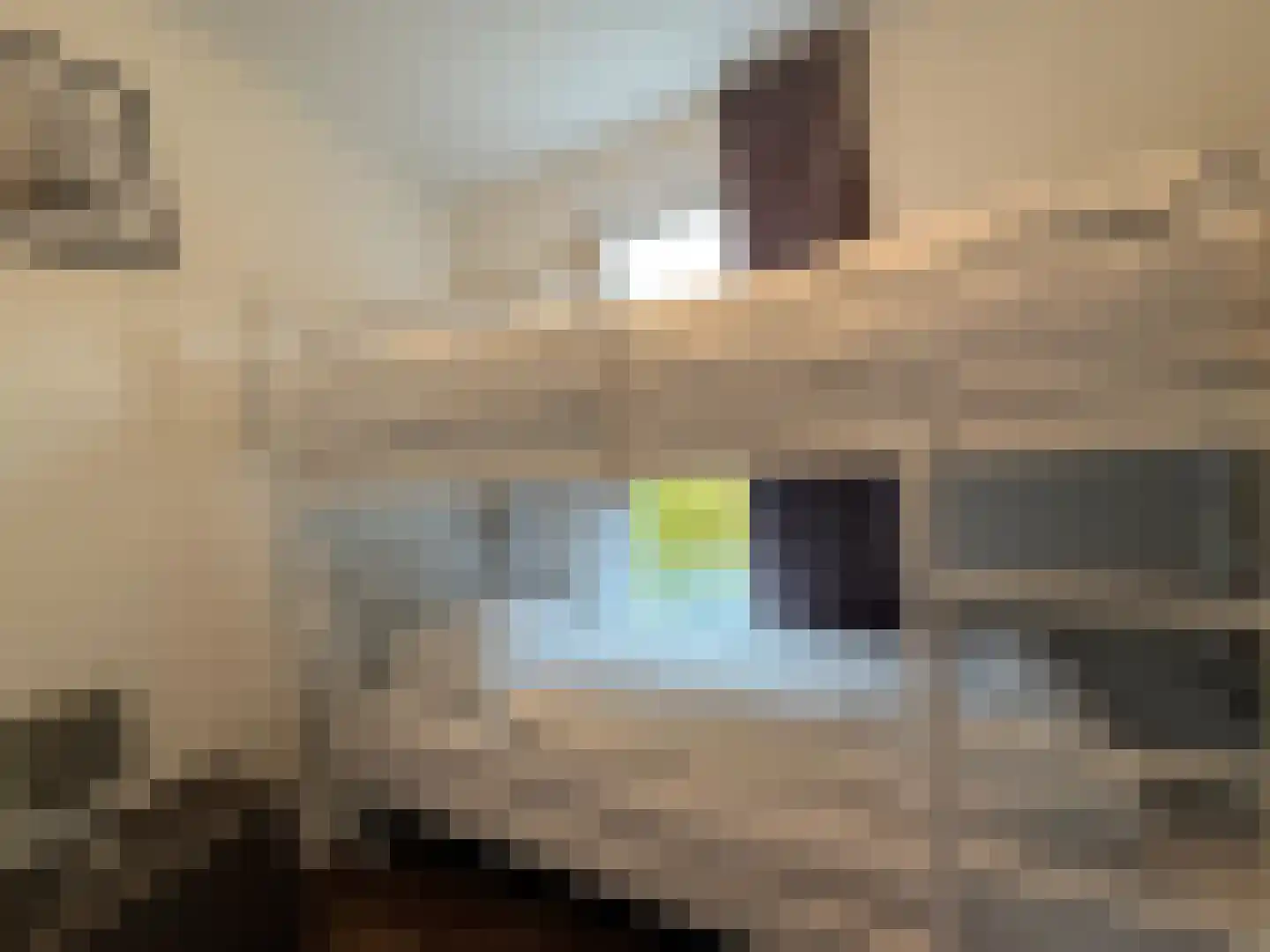 Gasthuis 3 74 Bemelen thumbnail 23