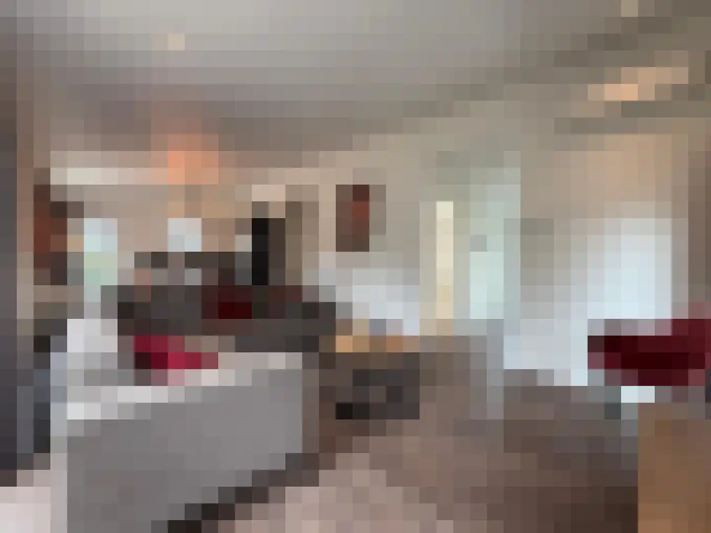 Gasthuis 3 74 Bemelen thumbnail 8