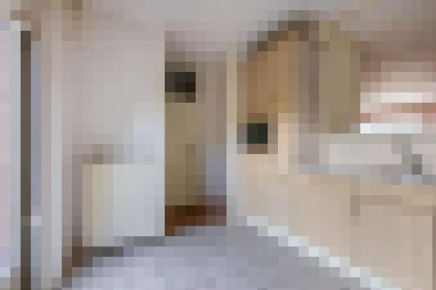 Gasthuisbouwing 1 Rheden thumbnail 10