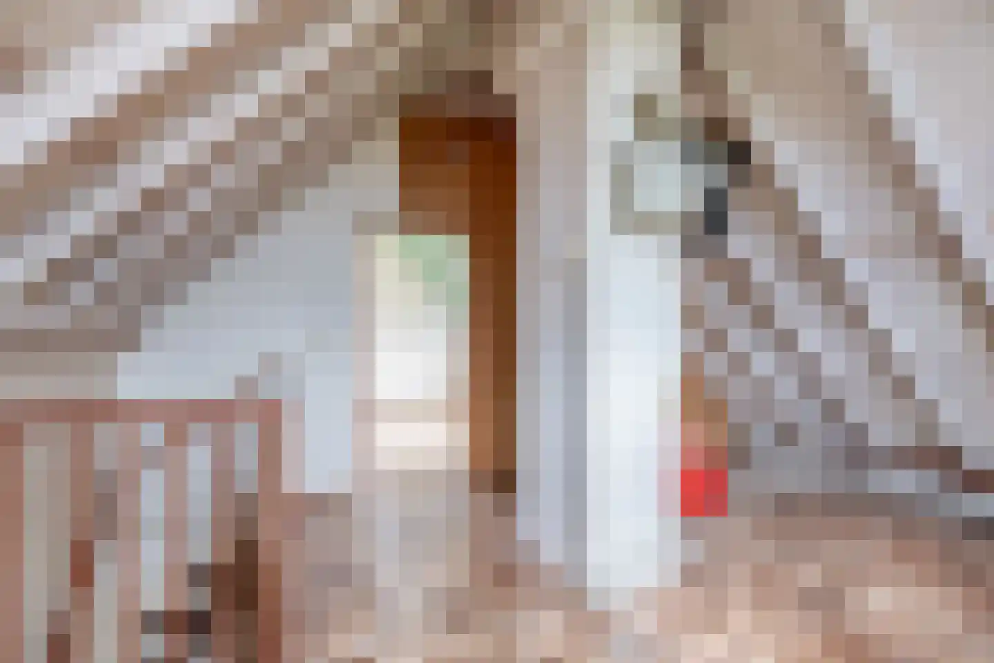 Gasthuisbouwing 1 Rheden thumbnail 30