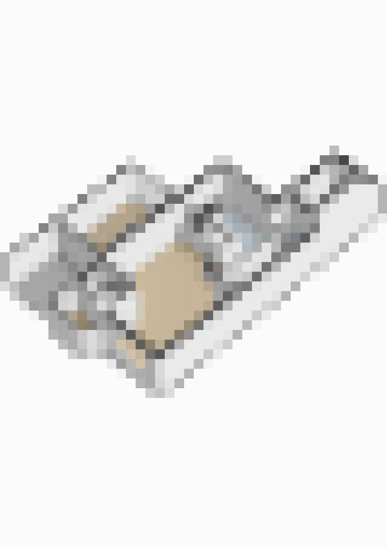Gasthuisbouwing 1 Rheden thumbnail 45