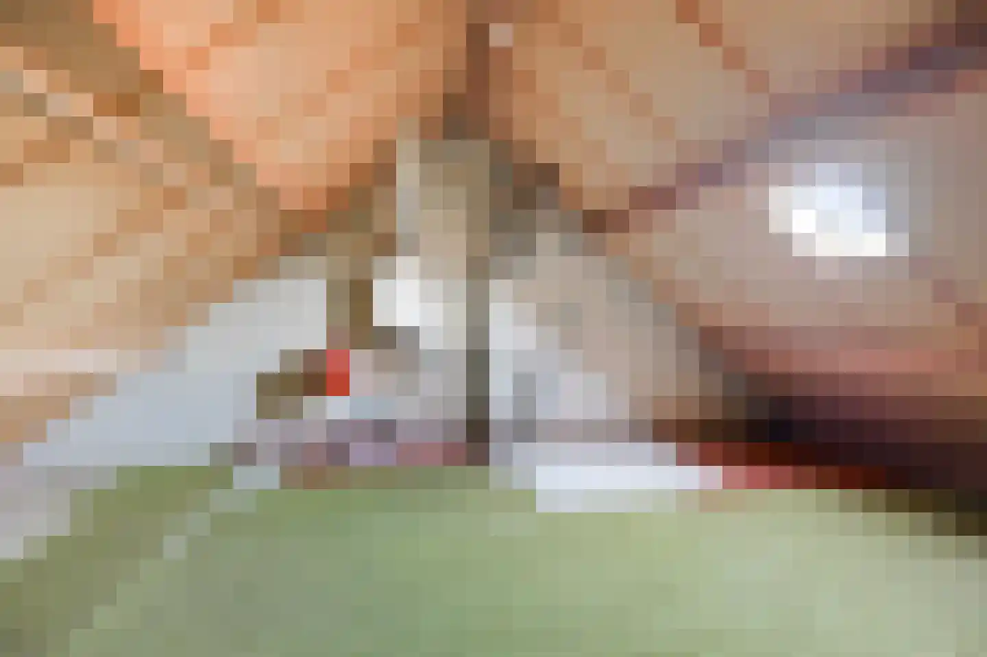 Gasthuisbouwing 18 Rheden thumbnail 19