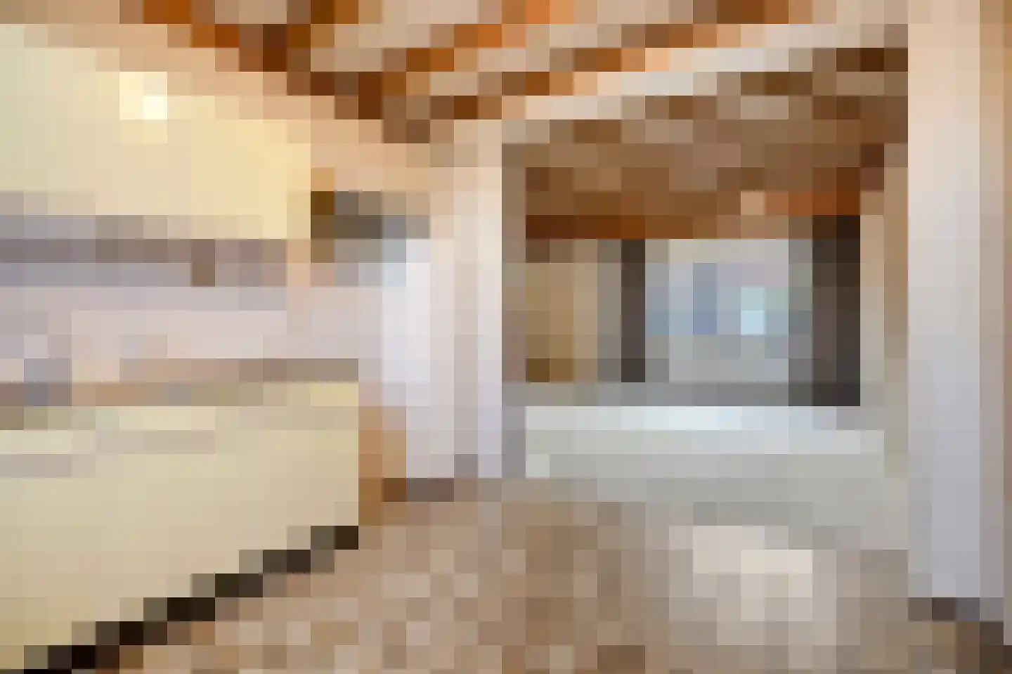 Gasthuisbouwing 18 Rheden thumbnail 4