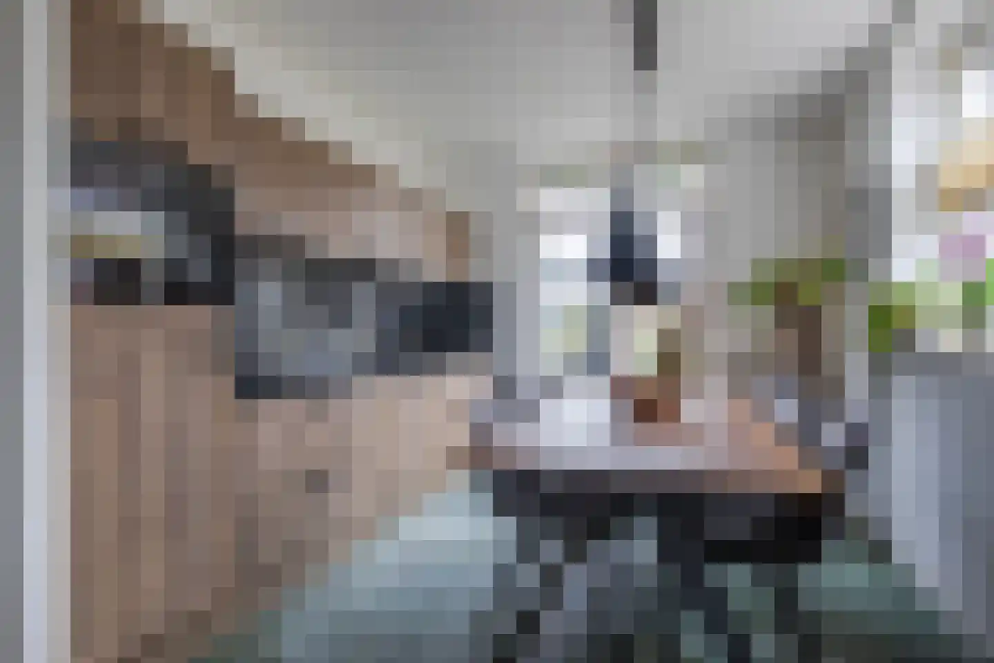 Gasthuisbouwing 19 Rheden thumbnail 18