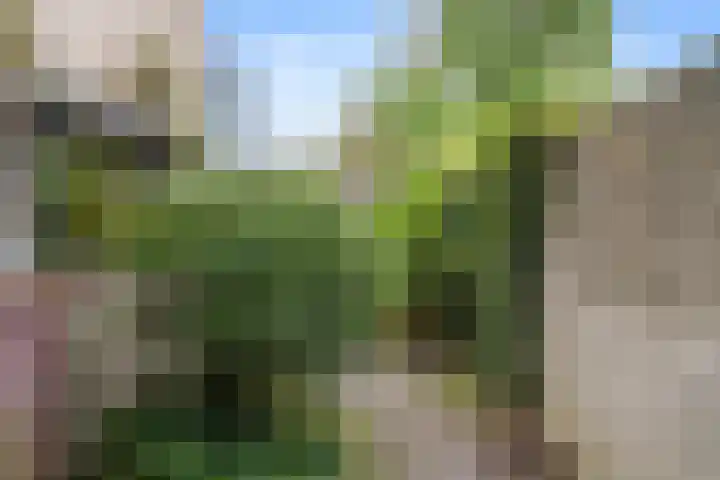 Gasthuisbouwing 2 Bennekom thumbnail 10