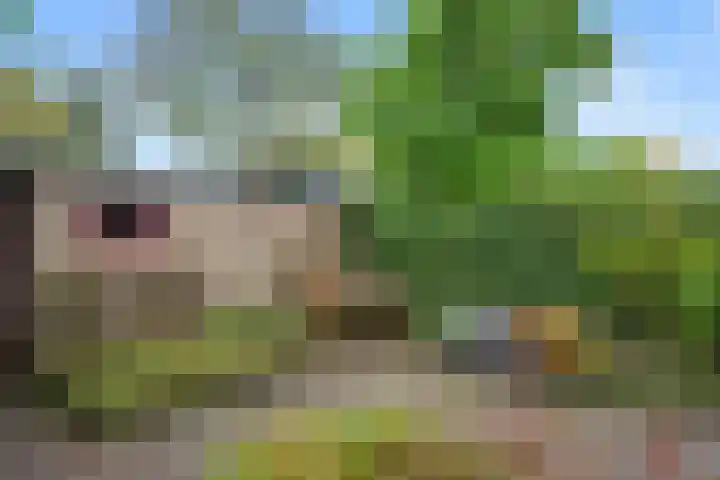 Gasthuisbouwing 2 Bennekom thumbnail 14