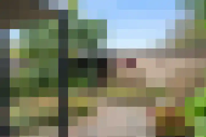 Gasthuisbouwing 2 Bennekom thumbnail 15