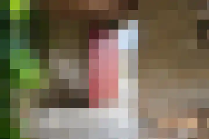 Gasthuisbouwing 2 Bennekom thumbnail 18