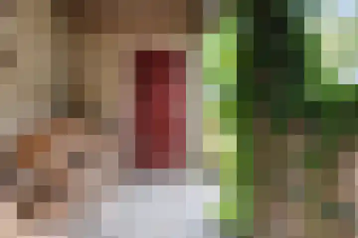 Gasthuisbouwing 2 Bennekom thumbnail 24