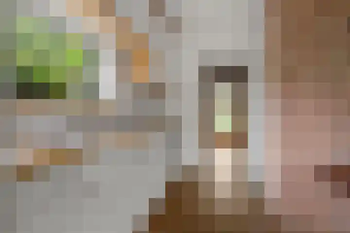 Gasthuisbouwing 2 Bennekom thumbnail 29