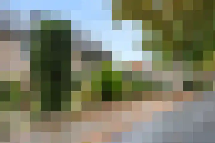 Gasthuisbouwing 2 Bennekom thumbnail 7